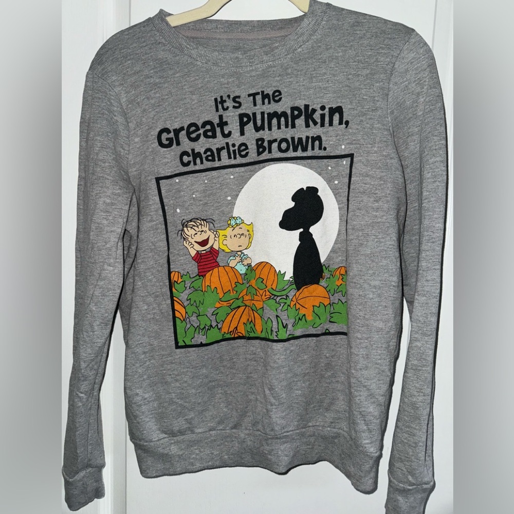 Peanuts It's The Great Pumpkin Charlie Brown Grey Sweatshirt Size Small